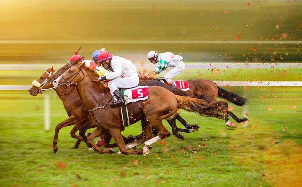 Off-Track Betting: How to Pick a Winning Horse